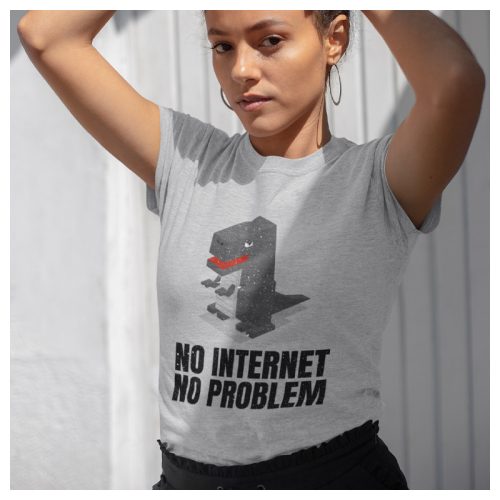 No internet - No problem - vicces feliratos női póló 